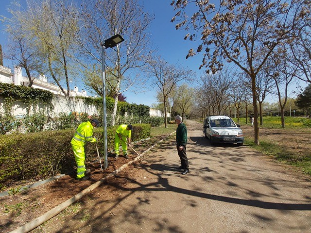 Servicio de Mantenimiento