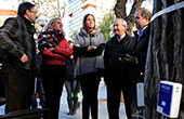 Estudio técnico en el arbolado de Ciudad Real