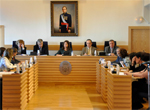Pleno del 30 de noviembre