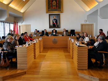 Pleno extraordinario